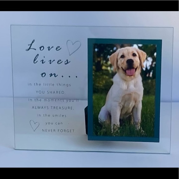 NWOT Inspirational decor and pic frames - $19ea - Picture 5 of 11